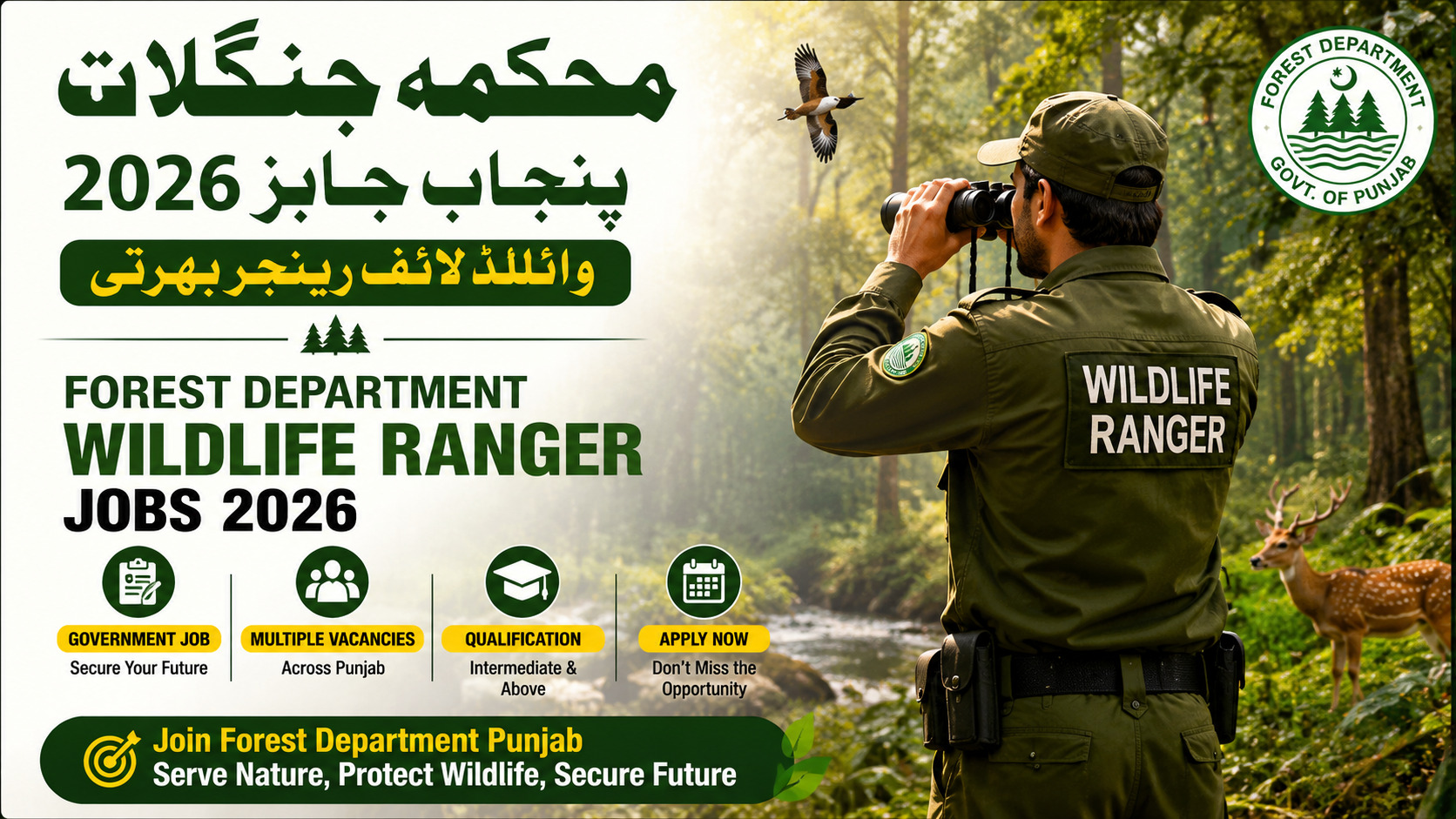 Wildlife Ranger Jobs 2026